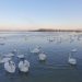Temperatura i dalje iznad prosjeka, najtopliji februar u poslednjih 136 godina