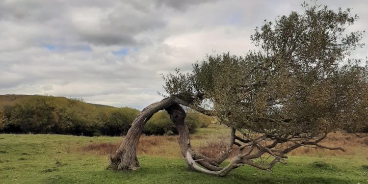Pred nama su dani sa prolećnim temperaturama, i do 20 stepeni