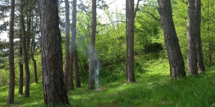 Sunčan i veoma topao dan pred nama, temperature i preko 20 stepeni