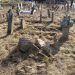 Republički zavod za zaštitu kulture utvrdio devastaciju nadgrobnih spomenika na Gazilaru