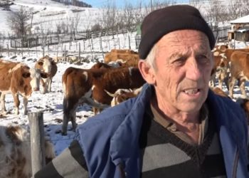 Poljoprivrednici na Pešteru zimi imaju pune ruke posla