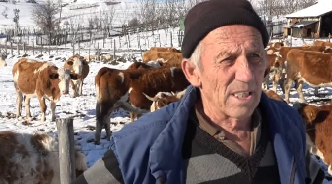 Poljoprivrednici na Pešteru zimi imaju pune ruke posla