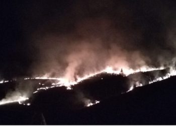 Strašne scene na Rogozni usled požara većih razmera, brza reakcija vatrogasaca