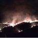 Strašne scene na Rogozni usled požara većih razmera, brza reakcija vatrogasaca