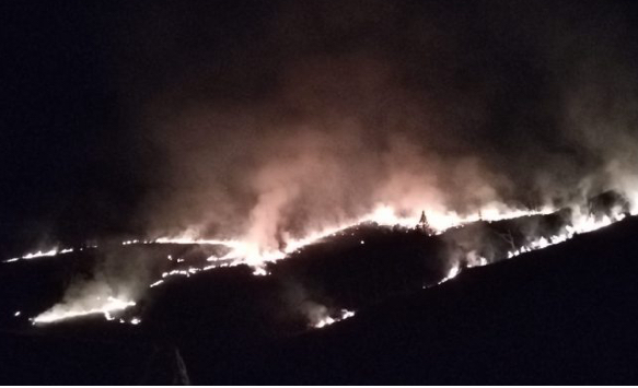 Strašne scene na Rogozni usled požara većih razmera, brza reakcija vatrogasaca