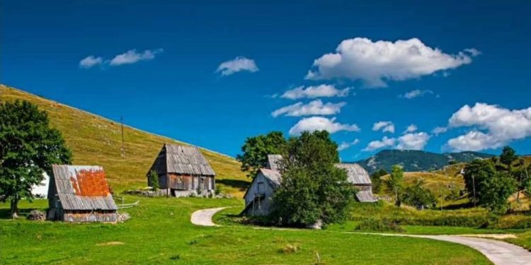 I u Srbiji trend da se žena odriče nasledstva u korist muškaraca