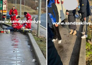 Krenula da posjeti djeci u Njemačkoj pa preselila u autobusu: “dokle smo stigli”, poslednje reči