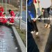 Krenula da posjeti djeci u Njemačkoj pa preselila u autobusu: “dokle smo stigli”, poslednje reči