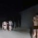 Ophođenje prema migrantima kao u najstrašnije logore, bez odeće idi iz Srbije u Sjevernu Makedoniju