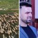 Priča o braći Kurtagić iz Čitluka, dobitnici državnog ordena. Gaje i do 2.000 ovaca