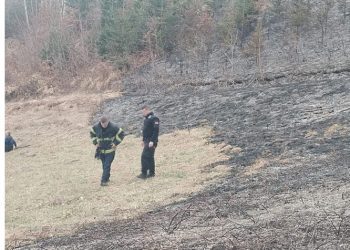 Jedno lice povređeno prilikom požara koji je zahvatio  šumu u okolini Novog Pazara