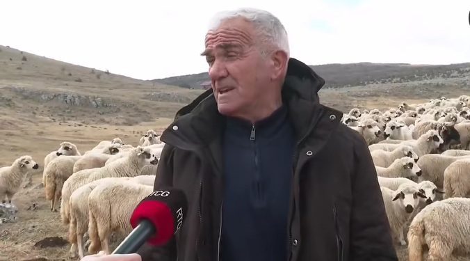 Jedan od najuspešnijih farmera na Pešteru- Faik Hot, preko 400 ovaca uzgaja