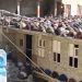 Video snimak koji topi srca vjernika, ovaj narod se ne da pokoriti osim Gospodaru