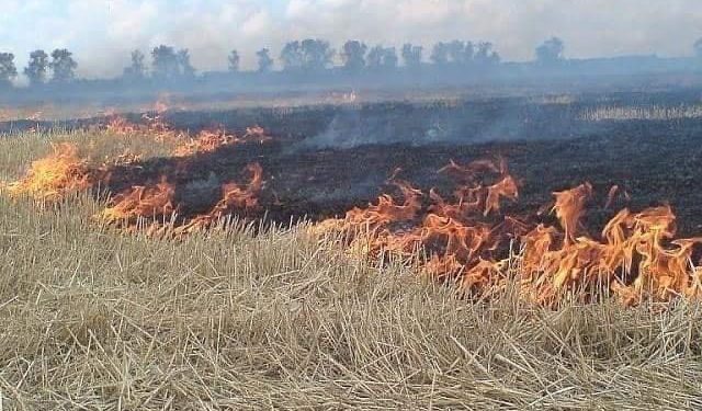 Novi Pazar: M. M. izgorio dok je palio korov na njivi
