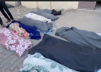 Najmanje 32.333 Palestinca ubijeno od početka agresije na Pojas Gaze