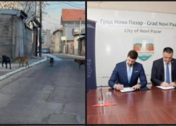 SPP osudila neodgovornost lokalne vlasti nakon ujeda pasa lutalica dvoje djece u Novom Pazaru