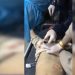Lavovski dio posla obavljaju bolničari u Gazi, najteže sa djecom. Napadi i dalje traju