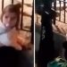 Nestala djevojčica primećena u Beču, Danka bila sa dve Rumunke