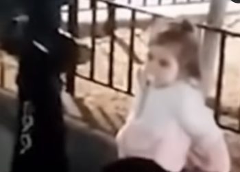 Objavljen snimak iz Beča djevojčice koja liči na Danku. Raspisana žuta potjernica Interpola