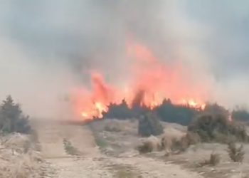 Veliki požar u okolini Prijepolja, jak vjetar rasplamsava vatru