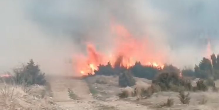 Veliki požar u okolini Prijepolja, jak vjetar rasplamsava vatru