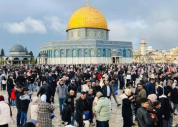 Neustrašivi i ponosni Palestinci klanjali Bajram u džamiji Al Aksa, probili blokadu