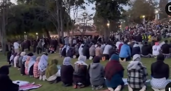 Stotine američkih studenata prelaze na Islam i redovno obavljaju molitve VIDEO