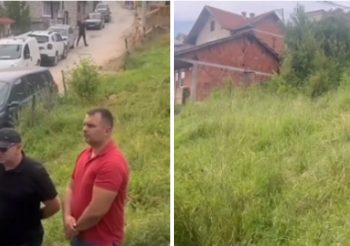 Novi Pazar:Mještani naselja Potok uznemireni zbog pojave velikog broja zmija