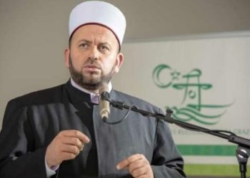 Reis Fejzić: Sramno skandiranje na utakmicama EP u Njemačkoj