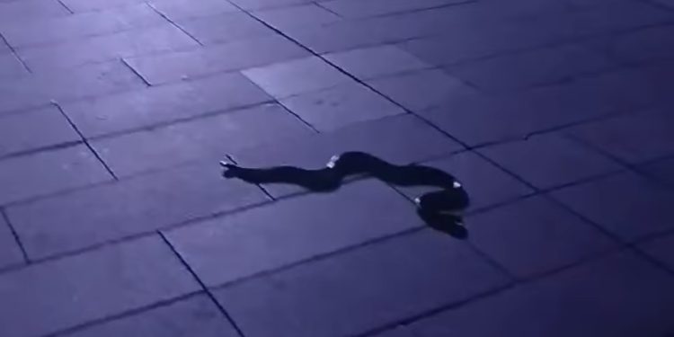 Još jedan Sandžački grad ima problem sa pojavom velikih zmija, šetaju po trgu