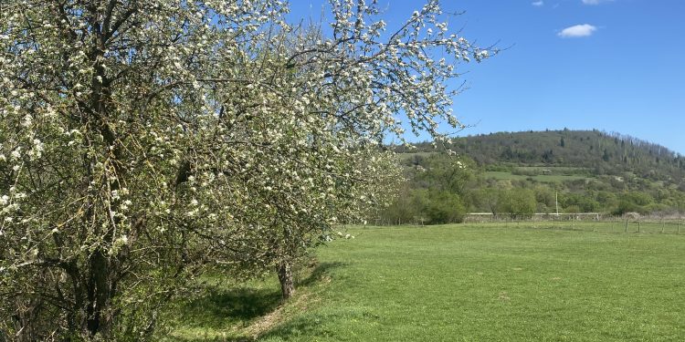 Tropski talas stiže iz Italije- svakim danom biće sve veća temperatura, a kad će kiša