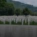 Izliv nacionalnog šovinizma u Novom Sadu: Plakate za obilježavanje oslobođenja Srebrenice