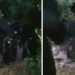 Tutin: Saobraćajna nezgoda kod fabrike Jelak, 4 mladića povređena