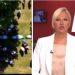 RTS konačno progovorio istinu, genocid u Srebrenici nazvan pravim imenom