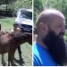 Zijad Ahmetović obnovio imanje u selu Kovače i počeo uzgoj konja VIDEO