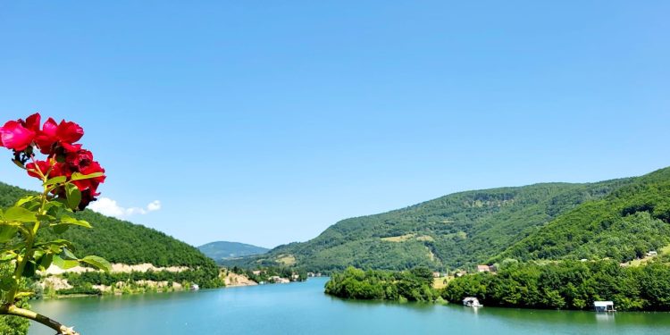 Još jedan tropski dan pred nama, vrućine opasne za sve- kožu i mozak