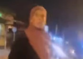 Pogledajte kako se ova hrabra muslimanka brani od novosadskih huligana