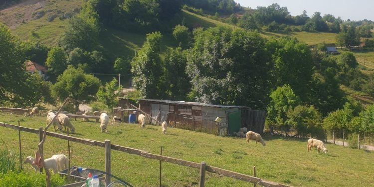 Danas umereno toplo vrijeme, prognoza za vikend