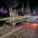 Teška saobraćajna nesreća kod Sjenice, povređena porodica iz Novog Pazara