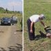 Vukovi nanijeli veliku štetu gazdinstvu Korać, stradali ovan i ždrebe
