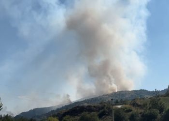 Sjenica: Veliki požar na planini Jadovnik sve bliži naseljima, vatrogasci se bore na terenu