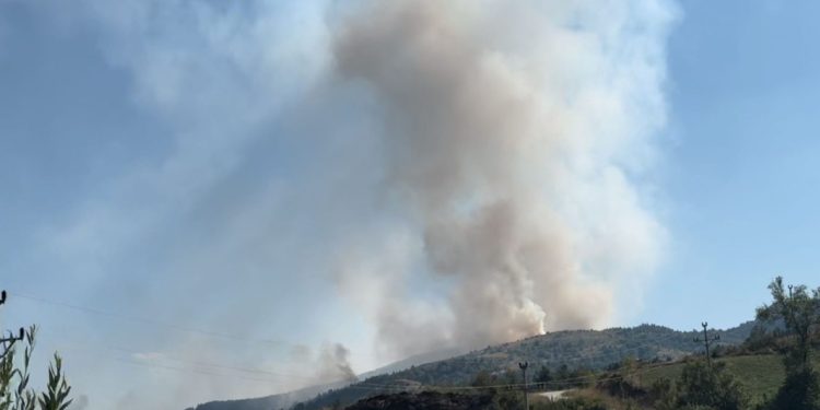 Sjenica: Veliki požar na planini Jadovnik sve bliži naseljima, vatrogasci se bore na terenu