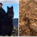 Prve fotografije mezara rahmetli Senada Ramović, ubijenog u selu Hotkovo