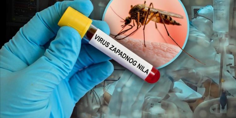 Opasan virus hara Srbijom, prenosi ga komarac. U prethodnoj nedjelju 6 osoba zaraženo