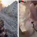 Iživljavanja cionista nad zarobljenim Palestincima nemaju granicu, nekoliko snimaka to pokazuje