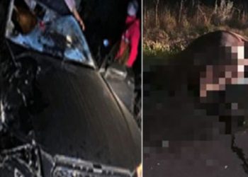 Još jedna saobraćajna nezgoda u kojoj je automobil udario konja