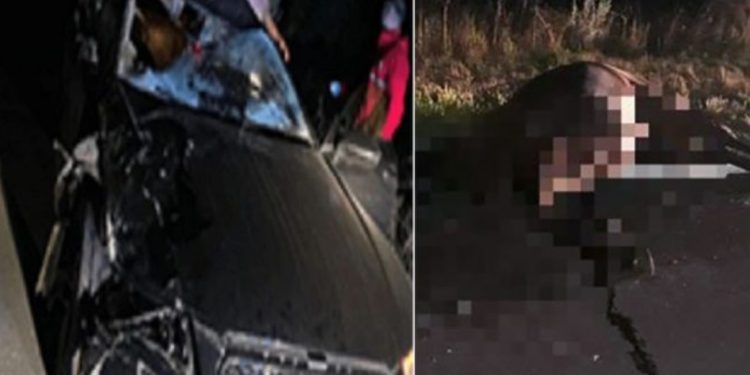 Još jedna saobraćajna nezgoda u kojoj je automobil udario konja