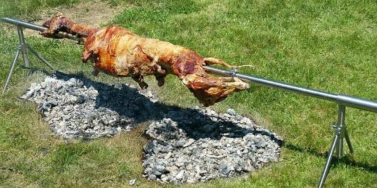 Viralna zabuna: Komšije optužene za “pečenje psa” izazvale lavinu komentara