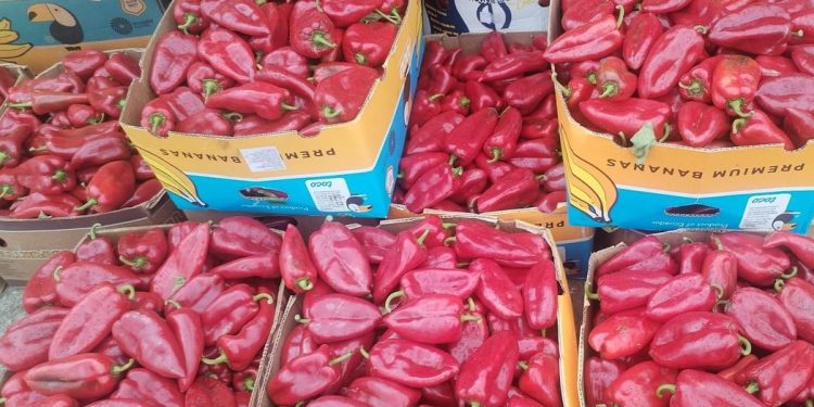 U svetoj paprici iz Albanije otkriveno prisustvo opasnih hemikalija, 44 puta iznad dozvoljene granice