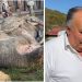 U 10 minuta stradalo 49 ovaca na imanju porodice Škrijelj, ovolika šteta od pasa lutalica nije zabilježena